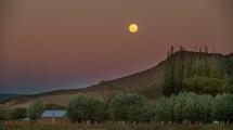 Imagen de Paja Alta, el paraje que está al pie de la meseta de Somuncura: como nunca antes la viste