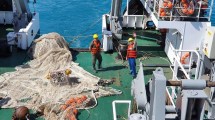 Imagen de Preparan medidas para paliar la crisis pesquera en el Golfo San Matías