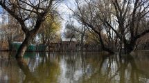 Imagen de Crecida del río Neuquén: aseguran que son cerca de 50 los evacuados en territorio neuquino