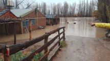 Imagen de Nuevas lluvias afectarán a Neuquén: temen deslaves y caídas de árboles