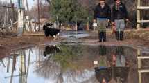 Imagen de El río Neuquén mordió las casas en Costa de Reyes y los crianceros sufren por sus animales