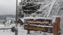 Imagen de Hermosa nevada en el Parque Nacional Lanín: lo que debés tener en cuenta al circular