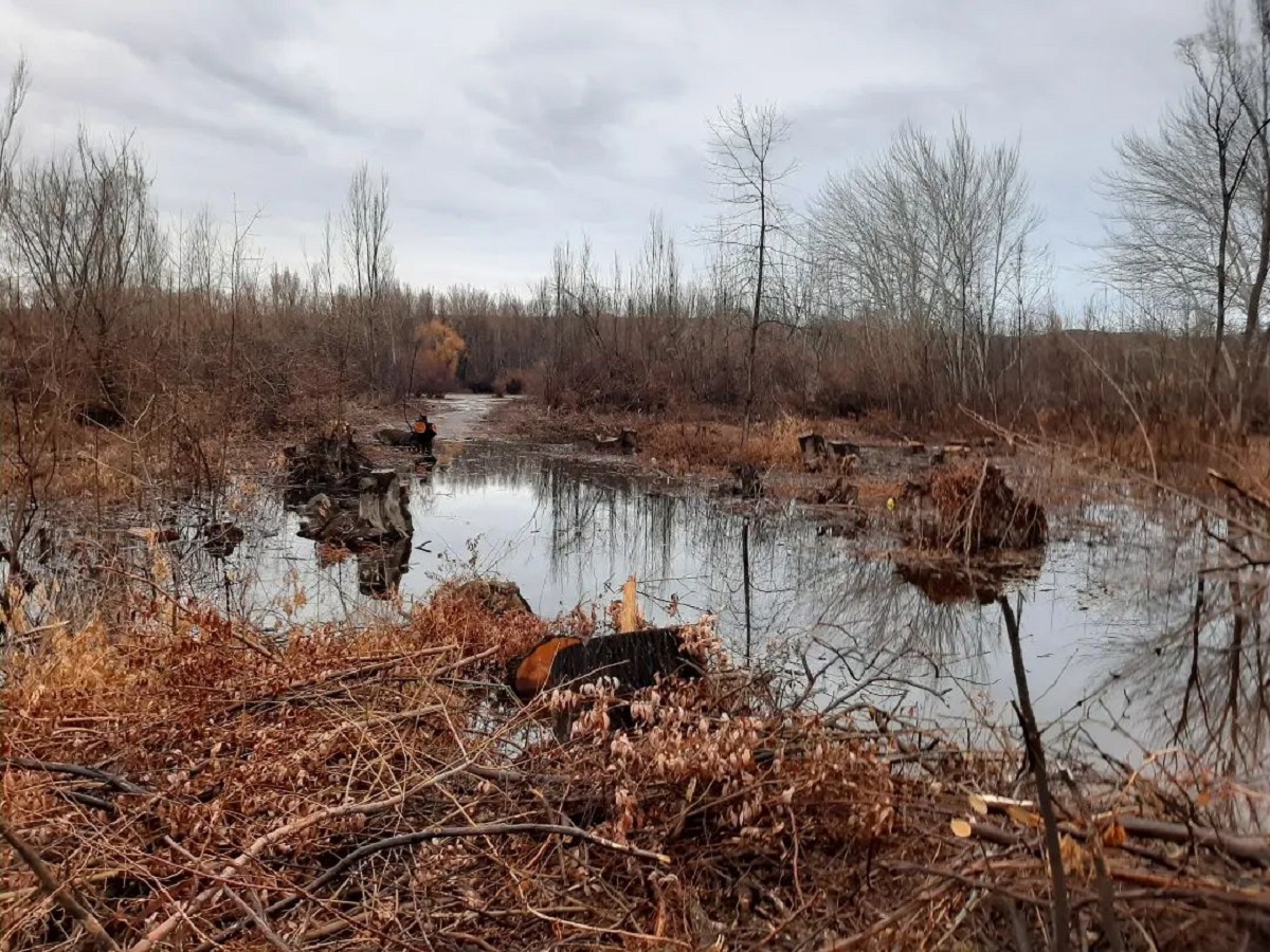 Planean utilizar las tierras para la reserva ecológica y paseo costero de la ciudad. Foto: Gentileza.