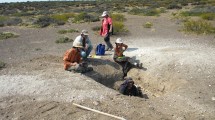 Imagen de Cuándo se formó el campo de cráteres de meteoritos más grande de la Patagonia