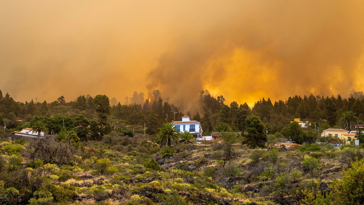 La tragedia dejó miles de hectáreas consumidas en La Palma y miles de españoles evacuados. Foto Europa Press.