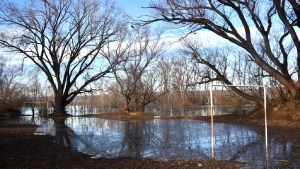 Peligrosamente, el agua del río Limay se acerca a las casas de Cipolletti