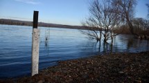 Imagen de Qué dice el municipio de Cipolletti por el aumento del caudal del río Limay