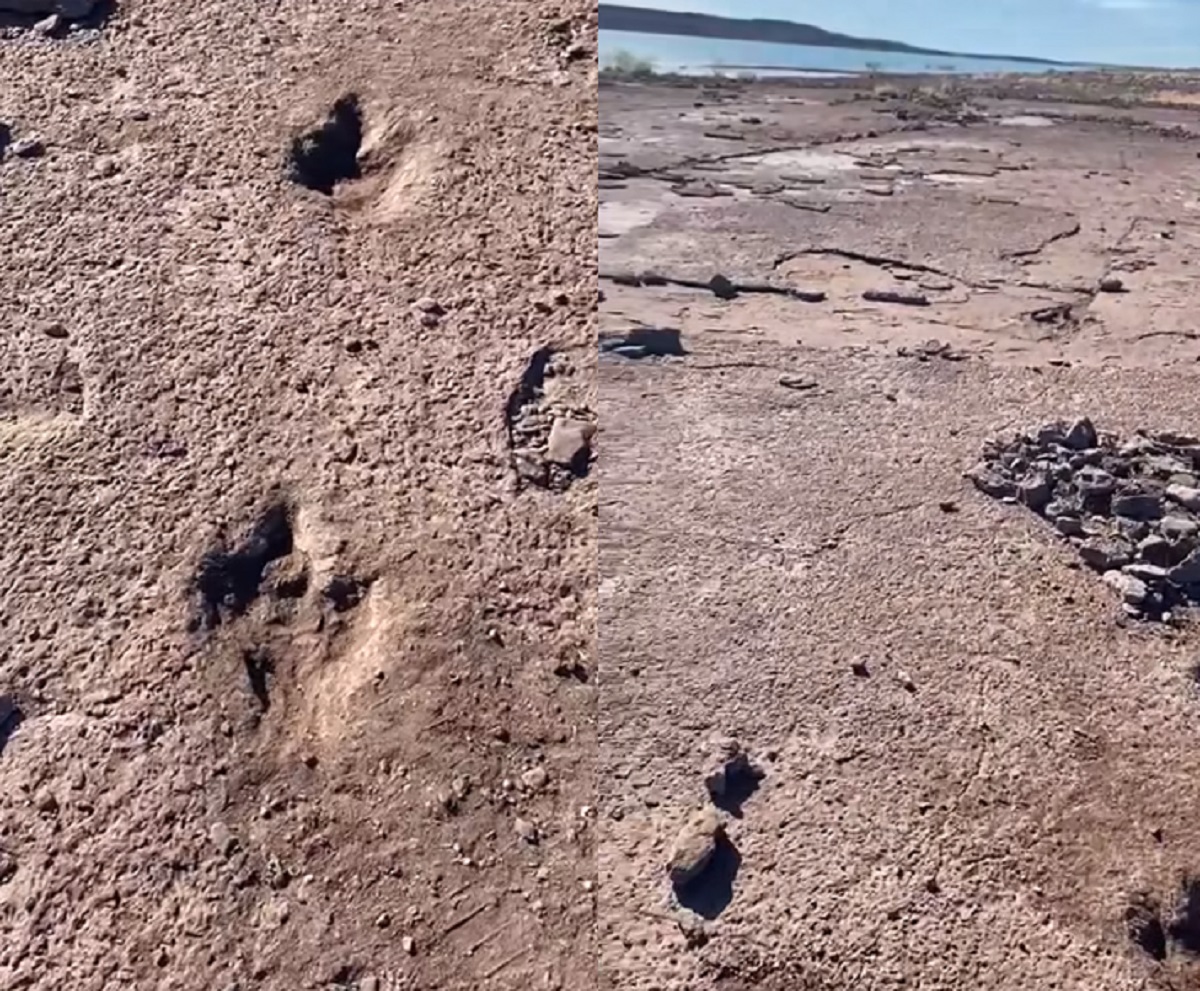 El hallazgo ocurrió entre la zona de Chocón Medio y la villa.