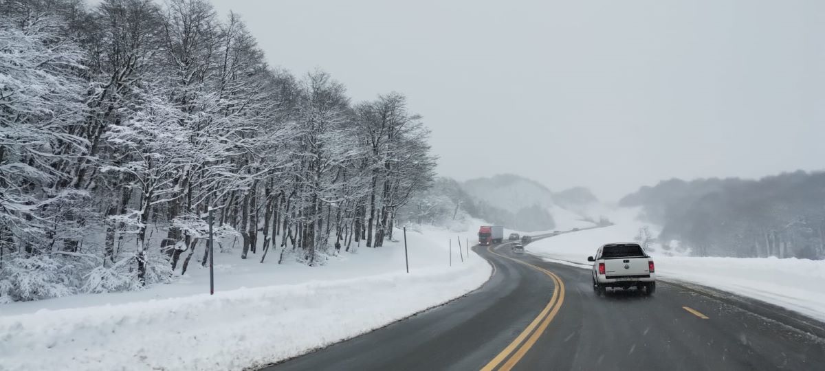 El camino al cruce con Chile, en Cardenal Samoré.