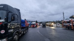 Por los cierres de Pino Hachado y Cristo Redentor, más camiones cruzan por Samoré