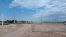 Imagen de Sortearán lotes en Catriel: cómo inscribirse y los requisitos para Suelo Urbano