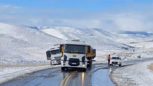 Con la nieve, prestá atención: miralos a ellos sobre la Ruta 40, en Junín de los Andes