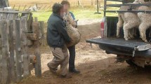 Imagen de Peón rural cargó un tubo de 45 kilos y sufrió daños irreversibles: logró una condena en Roca