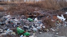 Imagen de Basural en plena zona de chacras de Roca: un foco contaminante cerca del río Negro