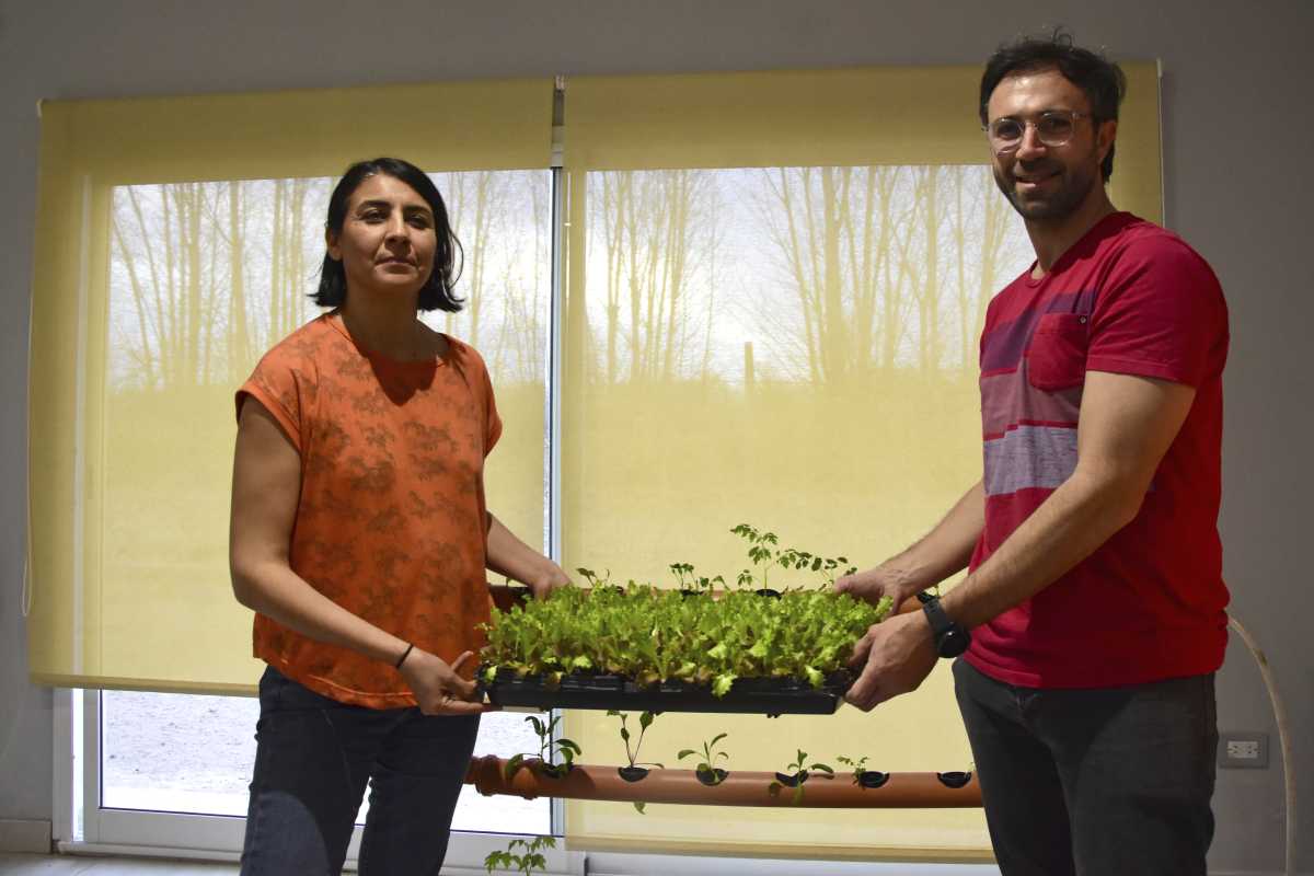 Malvina y Rodrigo muestran lo que se logra con la hidroponía.