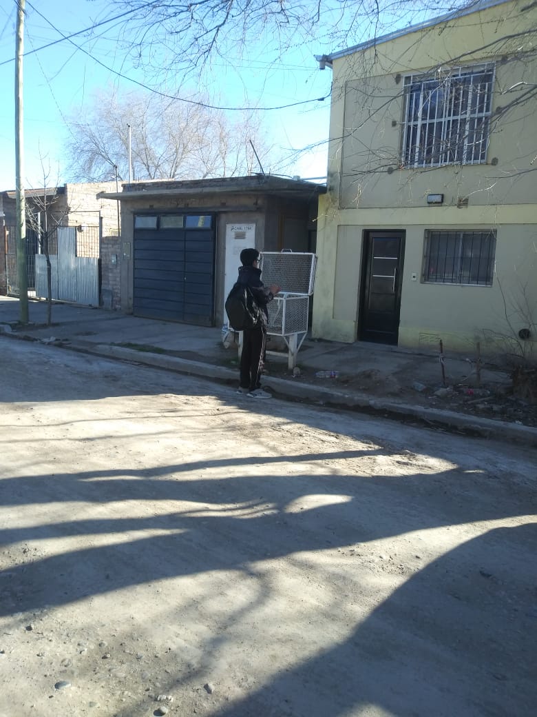 Viernes por la tarde, en la zona norte de Roca. Jóvenes van casa por casa buscando sumar fiscales para el proyecto de Milei.  