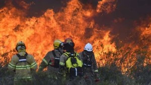 Se incendiaron más de 110 hectáreas de monte nativo por un cigarrillo mal apagado en Chubut