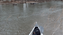 Imagen de Crianceros quedaron aislados con sus animales por la crecida del río Negro, en Cervantes