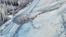 Imagen de Desmoronamiento en un cerro de Neuquén: cómo siguen los sobrevivientes de Chos Malal