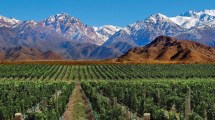 Imagen de Según la IA, estas son las tres provincias argentinas elegidas por su calidad de vida