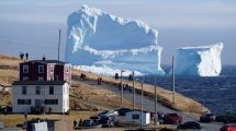 Imagen de Video: mirá este imponente iceberg que apareció en la isla de Terranova y sorprendió a los turistas