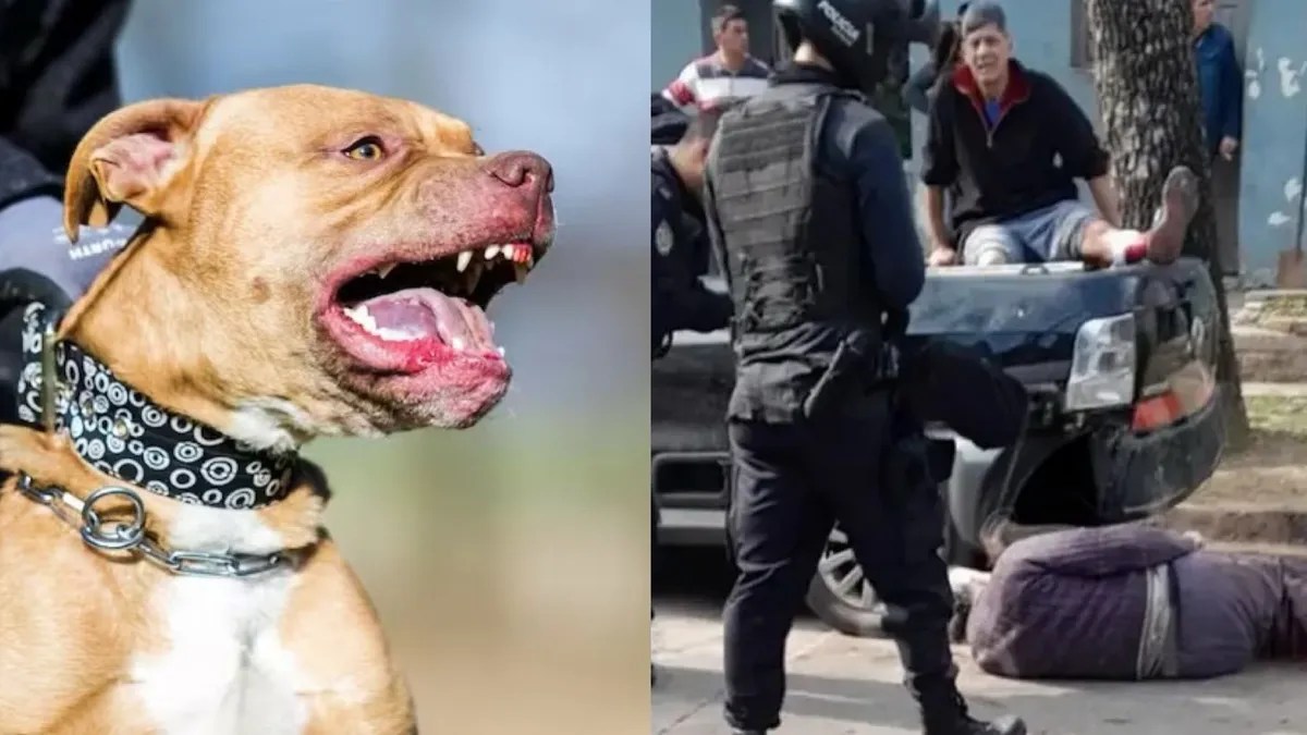 Un agente de policía decidió intervenir en un feroz ataque pitbull. 