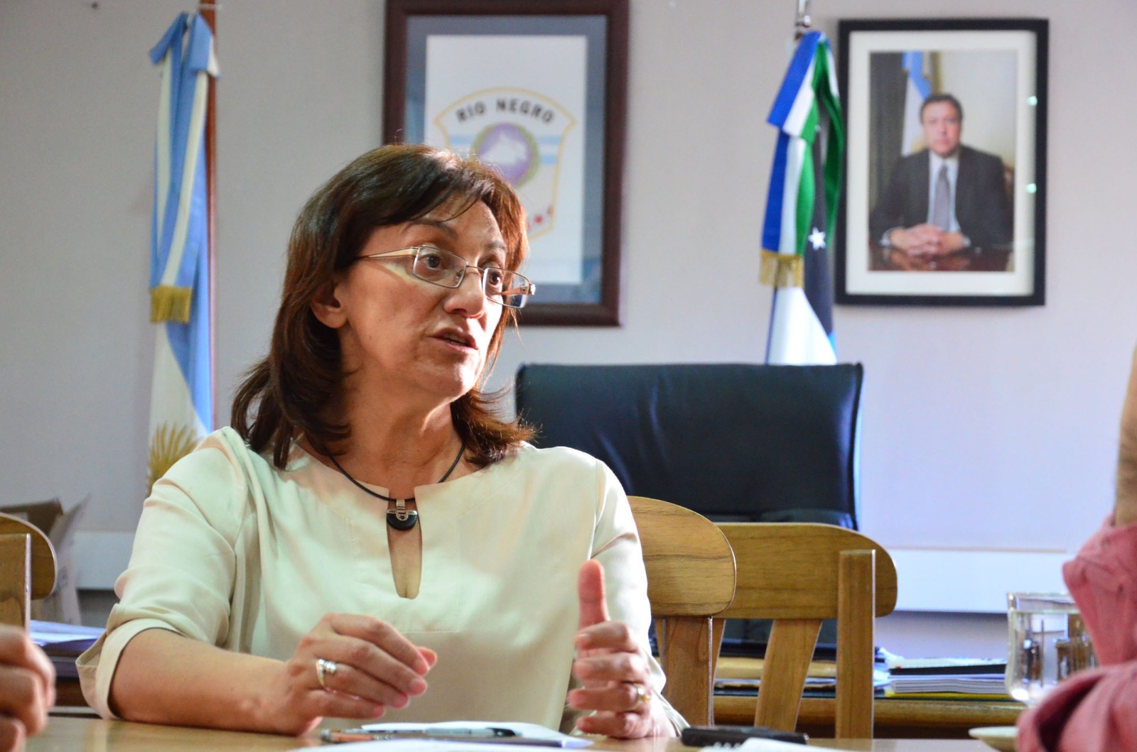 Mónica Silva habló de sus gestiones como senadora ante el gobierno nacional. Archivo