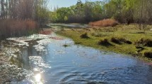 Imagen de El paseo costero top de Río Negro está en Fernández Oro: cuenta con 48 hectáreas y se podría usar como balneario