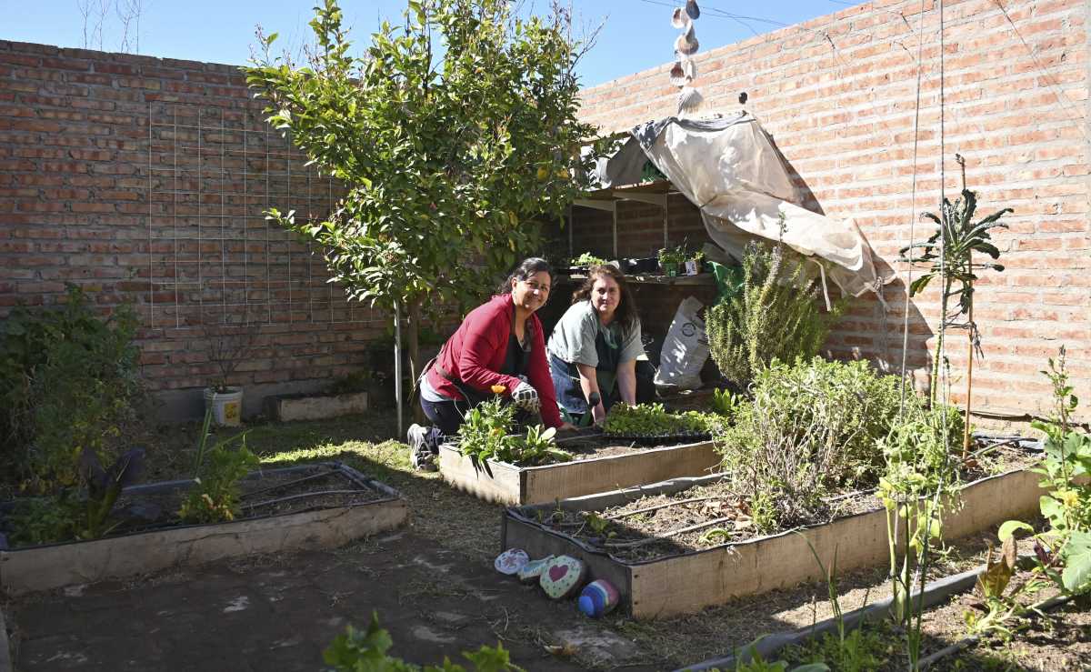 Paulina y Victoria dedican su tiempo a promover el cultivo sin intervención de agroquímicos. (Fotos: Florencia Salto)