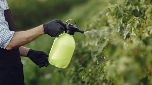 Dos argentinas desarrollan un producto que elimina orgánicamente el glifosato