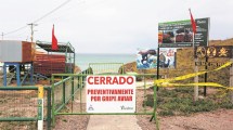 Imagen de Gripe aviar en lobos marinos: ¿Cuándo abrirá el balneario La Lobería del Camino de la Costa?