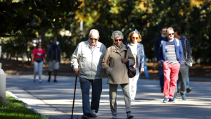 Cuándo cobro Anses: calendario de pago de bono, jubilaciones, pensiones, AUH y distintas prestaciones