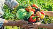 Imagen de Cómo es la propuesta productiva en Contralmirante Cordero en el mes de la agroecología