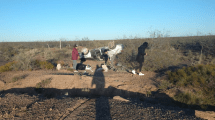 Imagen de Dos mujeres internadas tras un vuelco en Ruta 6, cerca de Roca