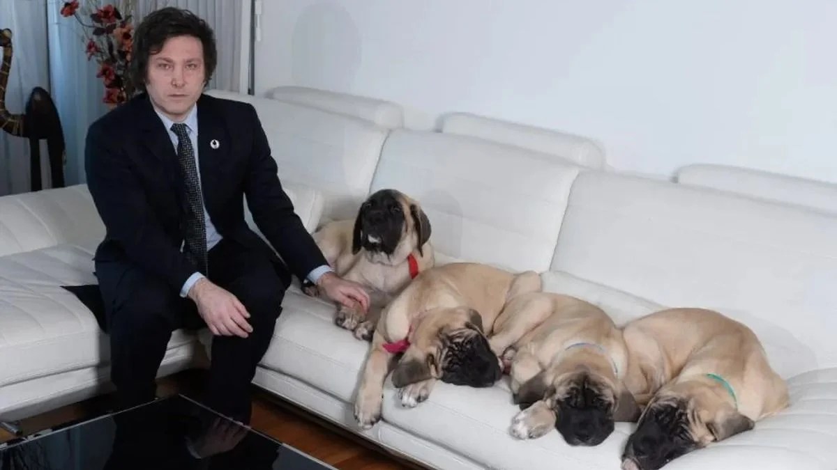 Milei denunció que Juntos por Cambio intentó quitarle a sus perros