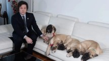 Imagen de Milei denunció que Juntos por el Cambio intentó quitarle a sus perros: «Querían sacarme a mis hijitos»