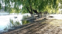 Imagen de «Fernández Oro contará con uno de los Parques Costeros más grandes de la Patagonia», dijo el municipio