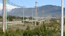 Imagen de Alipiba II: comienzan las tareas en la cordillera y compran torres chinas con yuanes