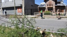 Imagen de Murieron tres jóvenes tras chocar contra un poste de luz en el centro de Cipolletti