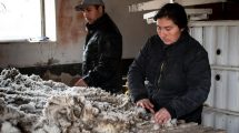 Imagen de Día del Trabajador Rural: las comparsas de esquila y una labor en constante movimiento