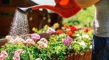 Imagen de Conocé estos tips sencillos, caseros e infaltables para tener tu jardín espectacular