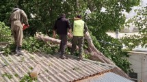 Imagen de Alerta por vientos en Neuquén: un árbol cayó sobre el área de pediatría del hospital Bouquet Roldán