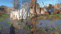 Imagen de Denuncia que la planta de agua potable se desborda y está arruinando su casa, en Roca