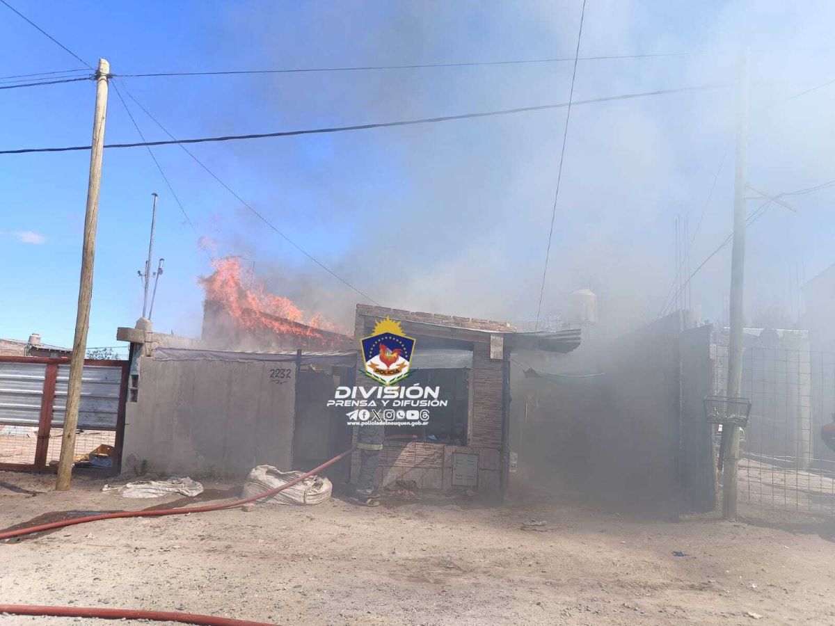 Se desconoce por ahora qué originó el incendio en el oeste de Neuquén. Foto: Gentileza 