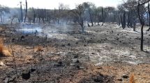 Imagen de Incendios en Córdoba: impactantes imágenes del fuego sobre una de las laderas