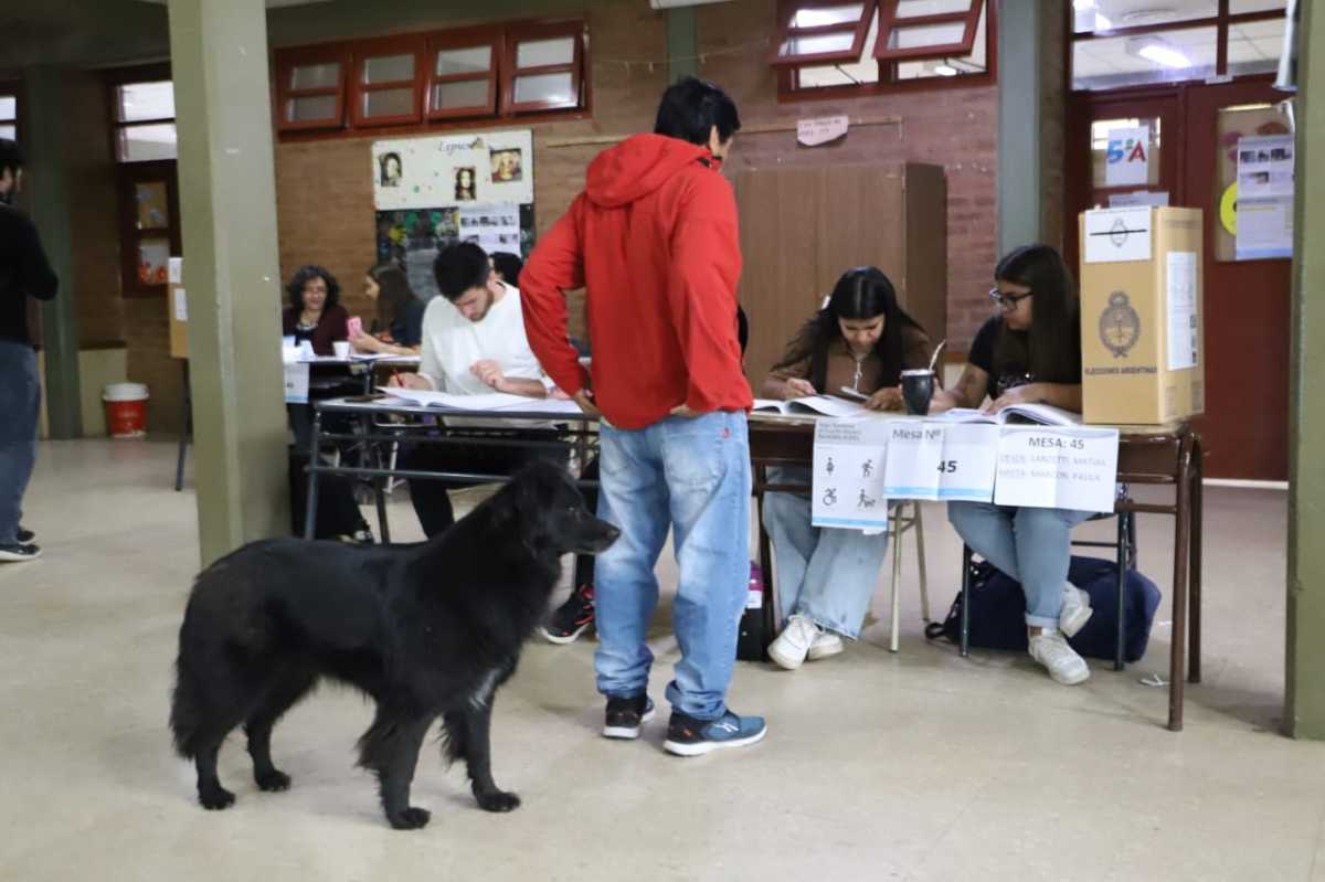 El balotaje del domingo 19 de noviembre define al próximo presidente. Foto archivo Fabián Ceballos. 