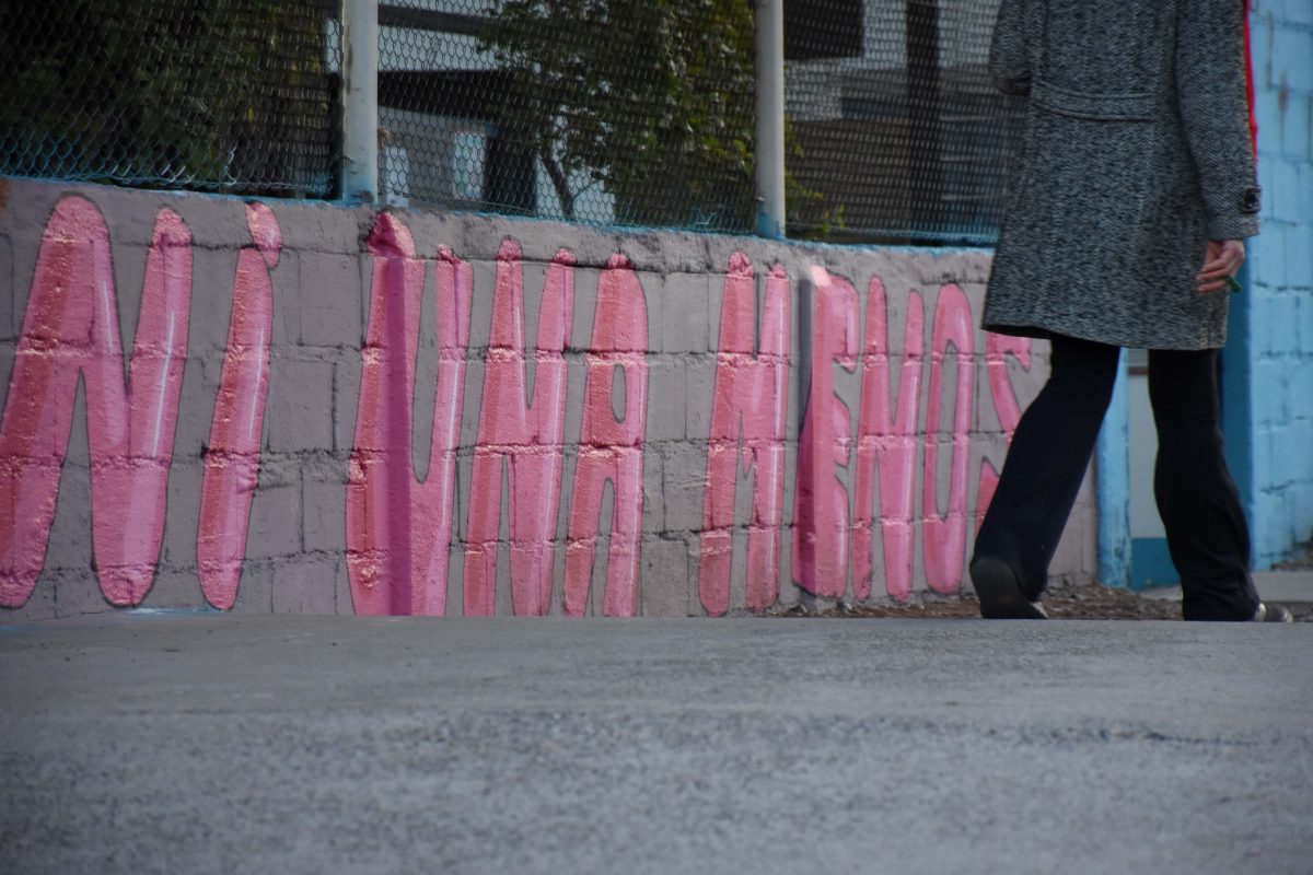 En 2023 fueron asesinadas siete mujeres en la provincia, en contextos de violencia de género. Foto Matías Subat.