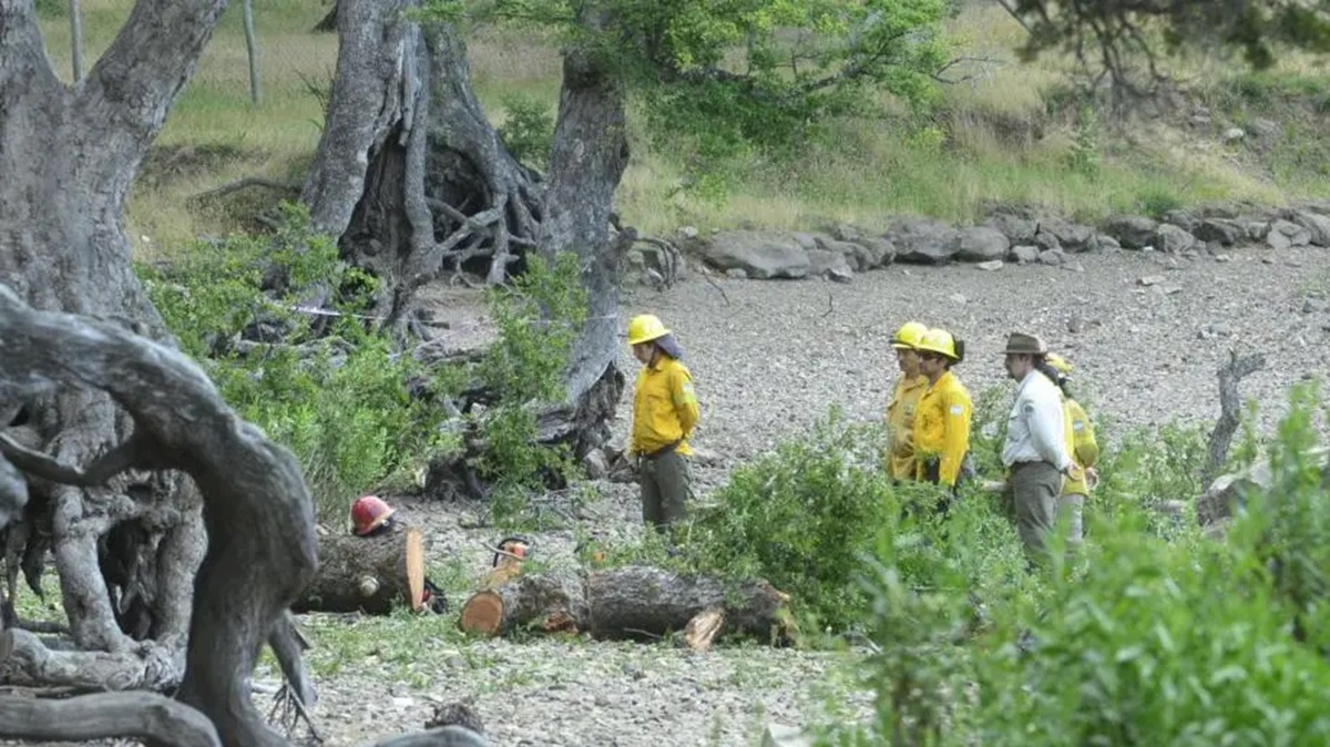 Juicio por la muerte de los niños Matías y Martina en el Lanín: así reclamarán los Parque Nacionales