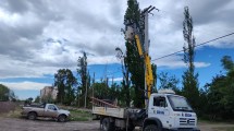 Imagen de Ráfagas de 100 km/h, caída de árboles y cortes de luz por el viento en Río Negro: trabajan para recuperar el servicio