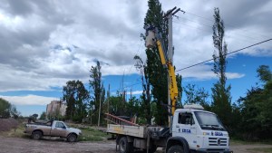 Ráfagas de 100 km/h, caída de árboles y cortes de luz por el viento en Río Negro: trabajan para recuperar el servicio